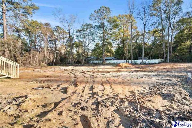 3525 Ballpark Rd., Effingham, SC 29541