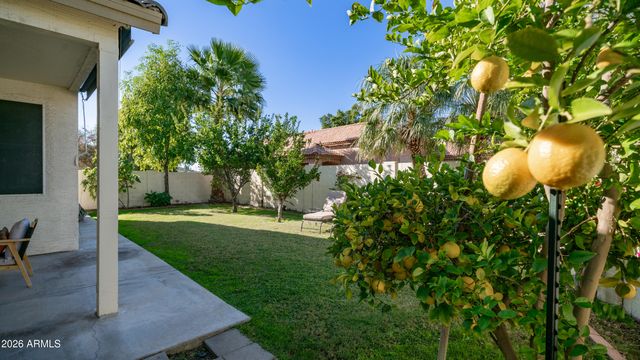 25084 N 68TH Avenue, Peoria, AZ 85383