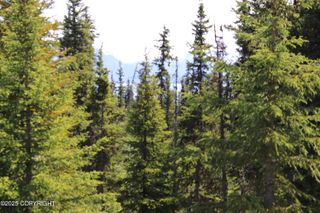 54533 Winchester Avenue, Homer, AK 99603