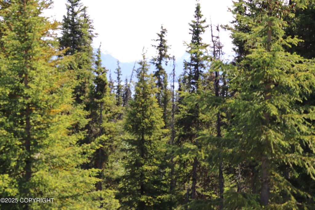 54533 Winchester Avenue, Homer, AK 99603