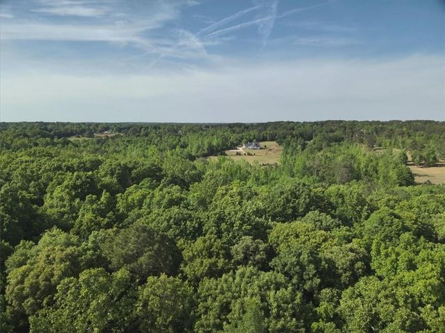 2033 Peeksville Road, Locust Grove, GA 30248