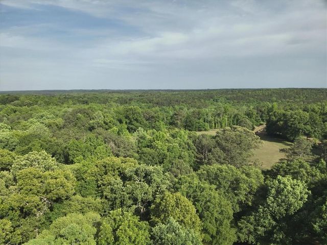 2033 Peeksville Road, Locust Grove, GA 30248