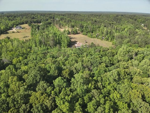 2033 Peeksville Road, Locust Grove, GA 30248