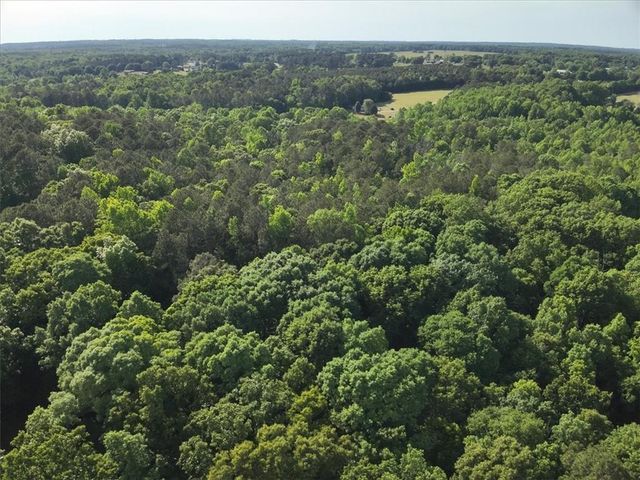 2033 Peeksville Road, Locust Grove, GA 30248