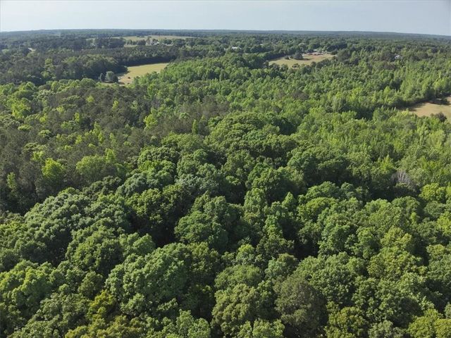 2033 Peeksville Road, Locust Grove, GA 30248