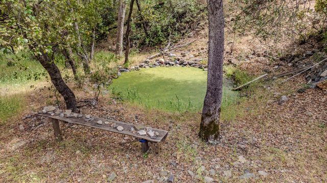 8531 Sheep Ranch Rd, Mountain Ranch, CA 95246