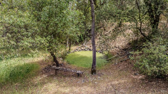 8531 Sheep Ranch Rd, Mountain Ranch, CA 95246