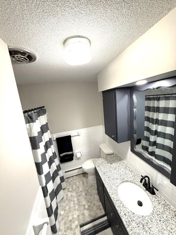 455 3rd Street SE, Cokato, MN 55321