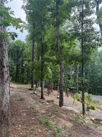 2426 E Maddox Road, Buford, GA 30519
