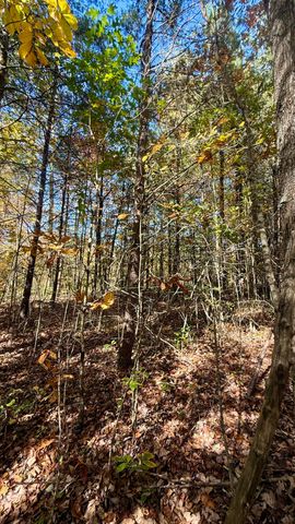 000 Owl Hollow Road Lot 8, Palmer, TN 37365