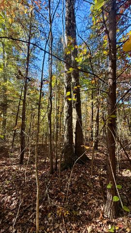 000 Owl Hollow Road Lot 8, Palmer, TN 37365