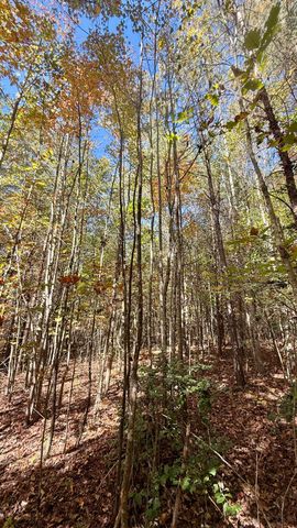 000 Owl Hollow Road Lot 8, Palmer, TN 37365