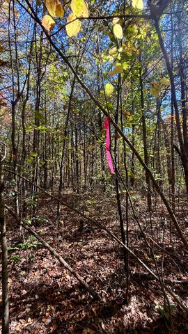 000 Owl Hollow Road Lot 8, Palmer, TN 37365