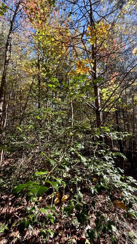 000 Owl Hollow Road Lot 8, Palmer, TN 37365