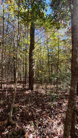 000 Owl Hollow Road Lot 8, Palmer, TN 37365