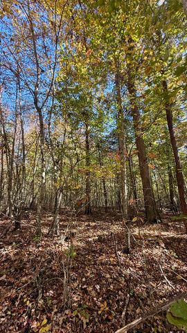 000 Owl Hollow Road Lot 8, Palmer, TN 37365