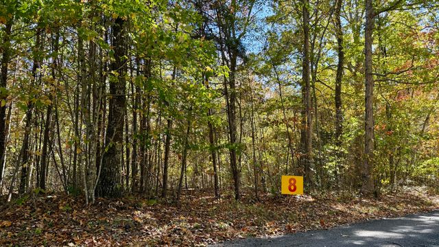 000 Owl Hollow Road Lot 8, Palmer, TN 37365