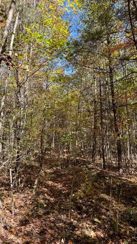 000 Owl Hollow Road Lot 8, Palmer, TN 37365