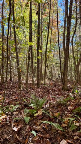 000 Owl Hollow Road Lot 8, Palmer, TN 37365