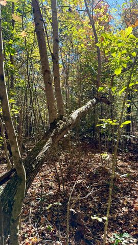 000 Owl Hollow Road Lot 8, Palmer, TN 37365