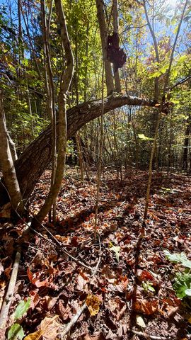 000 Owl Hollow Road Lot 8, Palmer, TN 37365