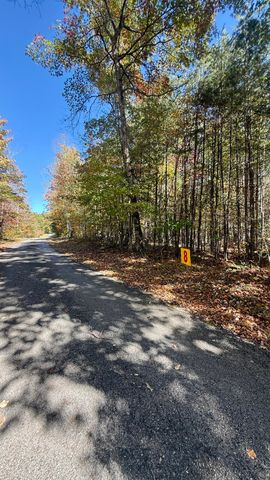 000 Owl Hollow Road Lot 8, Palmer, TN 37365