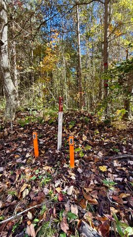 000 Owl Hollow Road Lot 8, Palmer, TN 37365