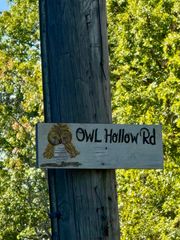 000 Owl Hollow Road Lot 8, Palmer, TN 37365
