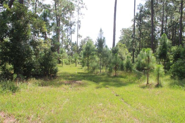 0 US HIGHWAY 98 W, Frostproof, FL 33843