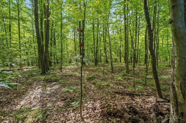 4455 N Ehlers Road, Larkin Twp, MI 48642