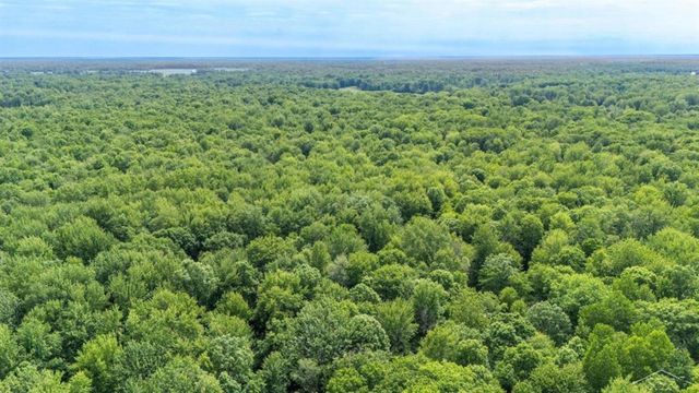 4455 N Ehlers Road, Larkin Twp, MI 48642