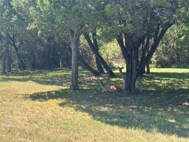 39038 Mesquite Drive, Whitney, TX 76692