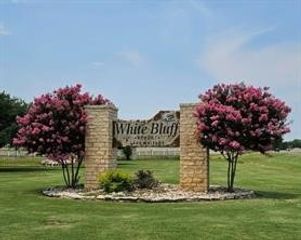 39038 Mesquite Drive, Whitney, TX 76692