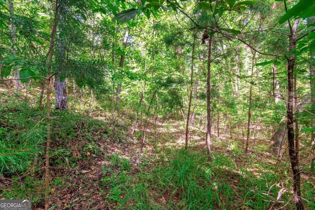 LOT 22 Meadow Brook Trail 22, Morganton, GA 30560
