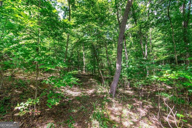 LOT 22 Meadow Brook Trail 22, Morganton, GA 30560