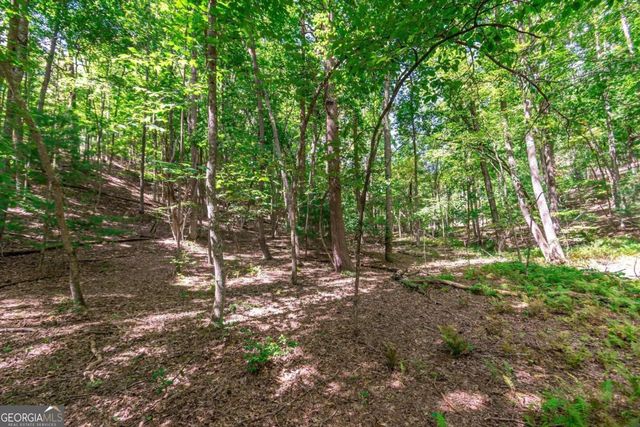 LOT 22 Meadow Brook Trail 22, Morganton, GA 30560