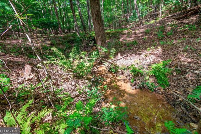 LOT 22 Meadow Brook Trail 22, Morganton, GA 30560