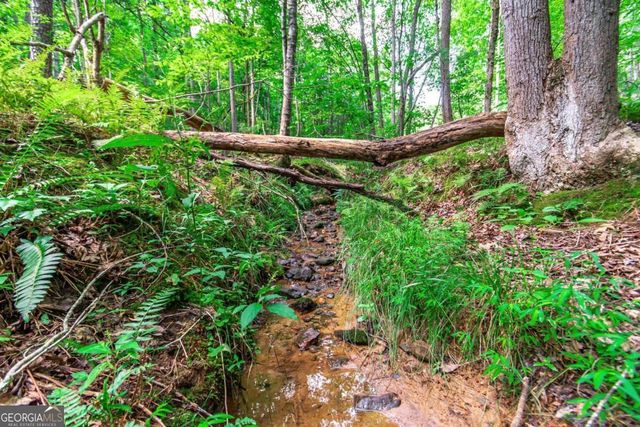 LOT 22 Meadow Brook Trail 22, Morganton, GA 30560