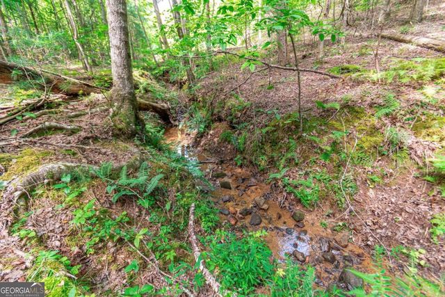 LOT 22 Meadow Brook Trail 22, Morganton, GA 30560