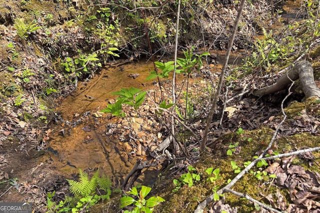 LOT 22 Meadow Brook Trail 22, Morganton, GA 30560