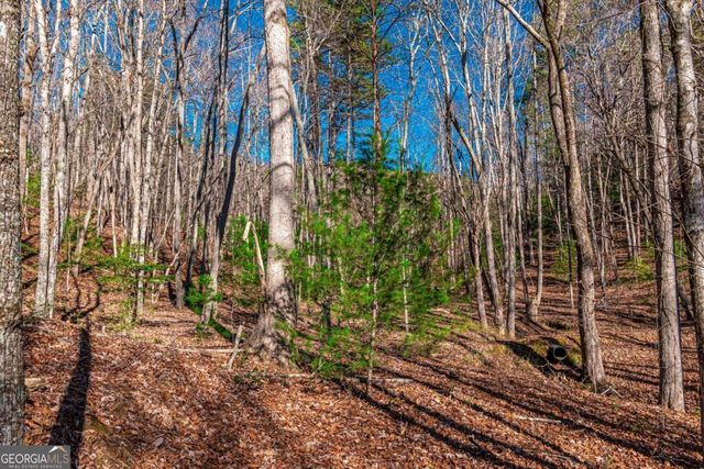 LOT 22 Meadow Brook Trail 22, Morganton, GA 30560