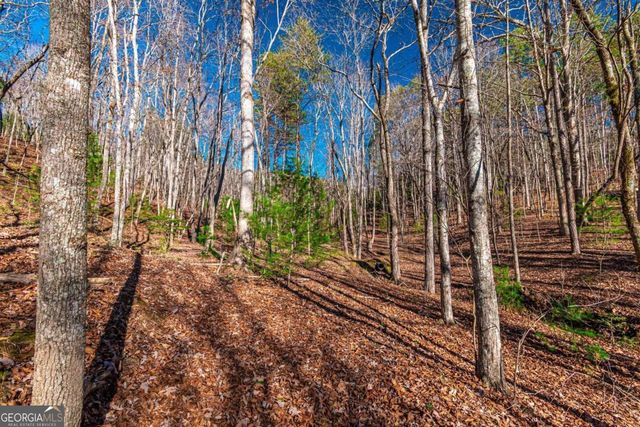 LOT 22 Meadow Brook Trail 22, Morganton, GA 30560