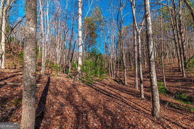 LOT 22 Meadow Brook Trail 22, Morganton, GA 30560