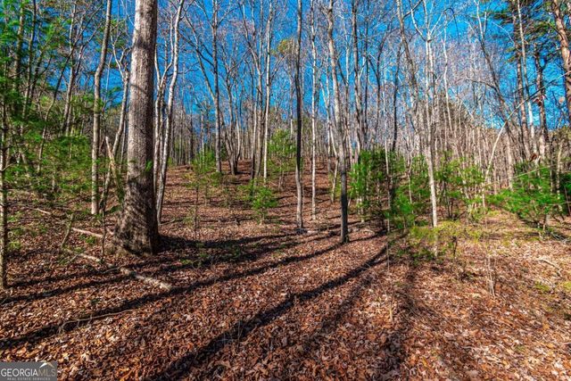 LOT 22 Meadow Brook Trail 22, Morganton, GA 30560