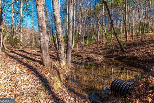 LOT 22 Meadow Brook Trail 22, Morganton, GA 30560