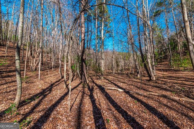 LOT 22 Meadow Brook Trail 22, Morganton, GA 30560