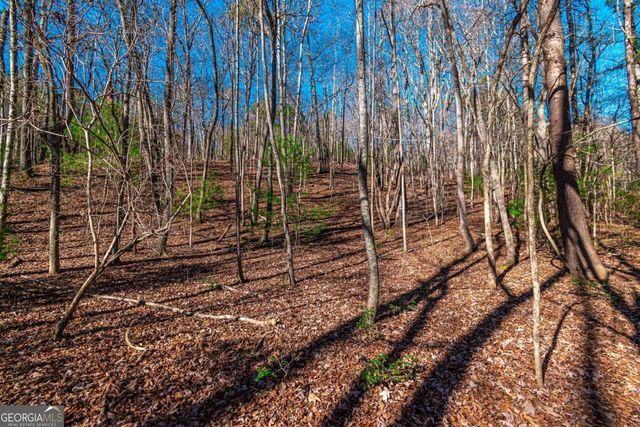 LOT 22 Meadow Brook Trail 22, Morganton, GA 30560