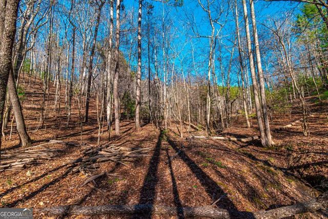 LOT 22 Meadow Brook Trail 22, Morganton, GA 30560