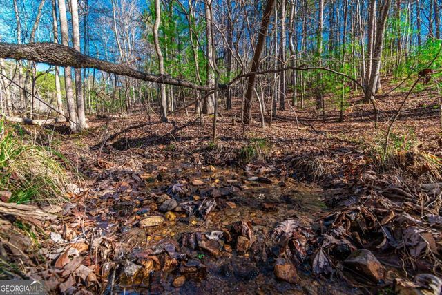LOT 22 Meadow Brook Trail 22, Morganton, GA 30560
