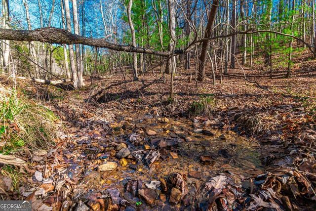 LOT 22 Meadow Brook Trail 22, Morganton, GA 30560